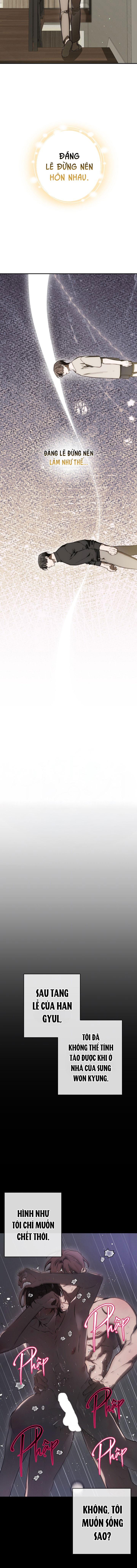 BẢO VẬT Chapter 41 - Trang 2