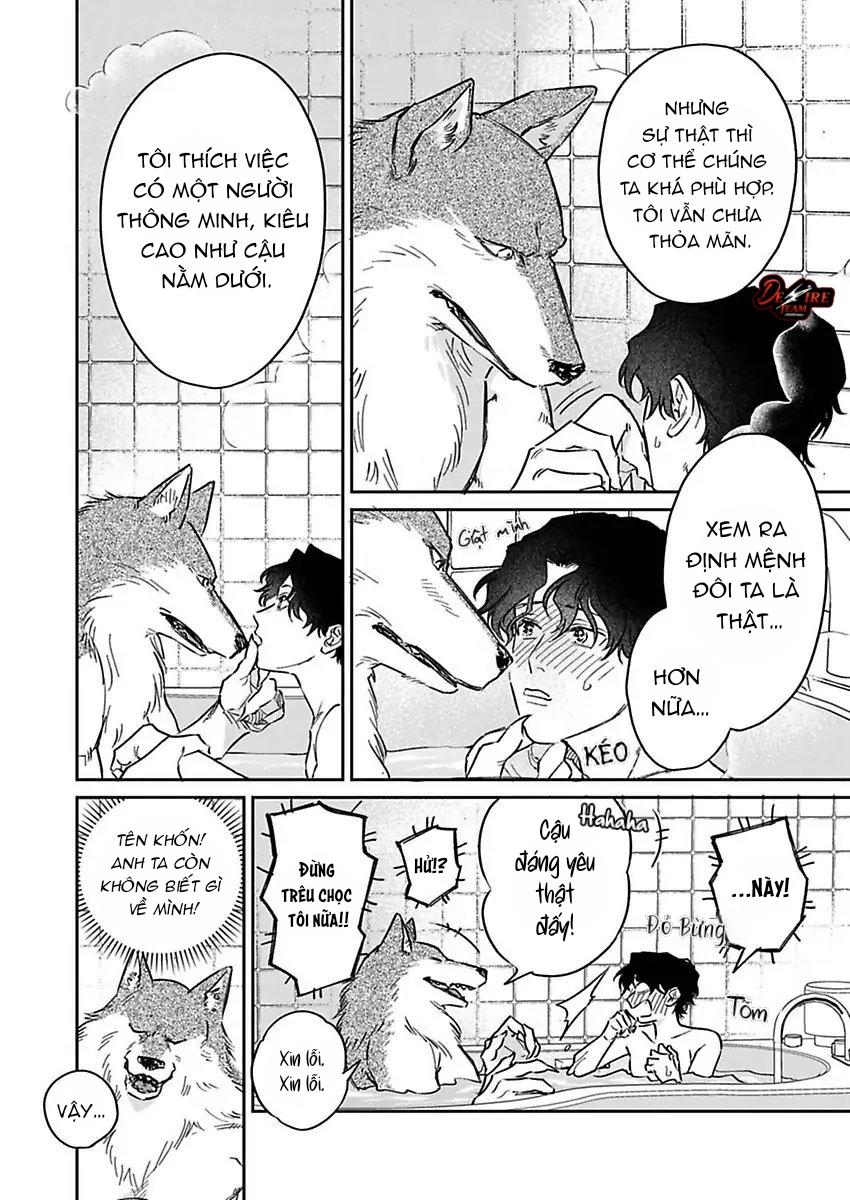 Tình Yêu Mãnh Liệt Của Ngài Sói Chapter 3 - Next 