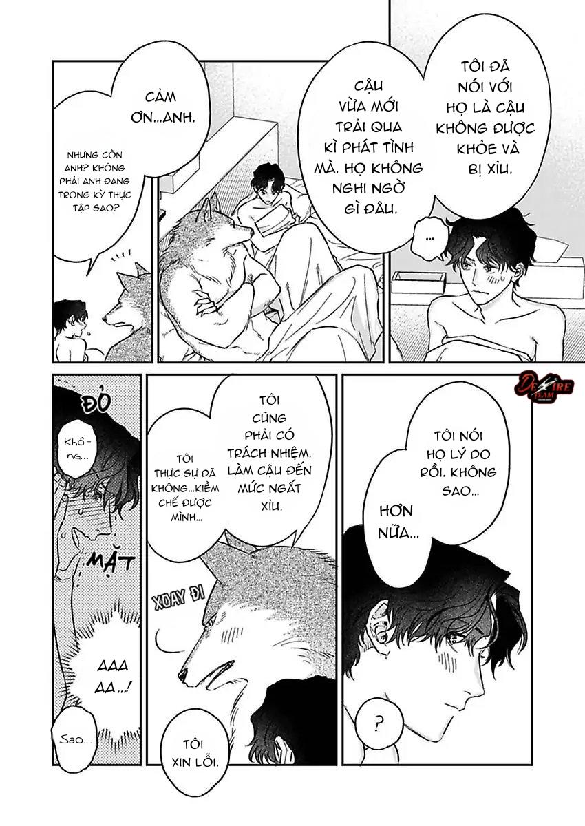 Tình Yêu Mãnh Liệt Của Ngài Sói Chapter 3 - Next 