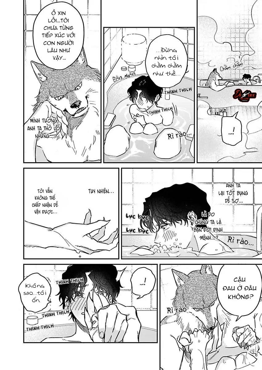 Tình Yêu Mãnh Liệt Của Ngài Sói Chapter 3 - Next 
