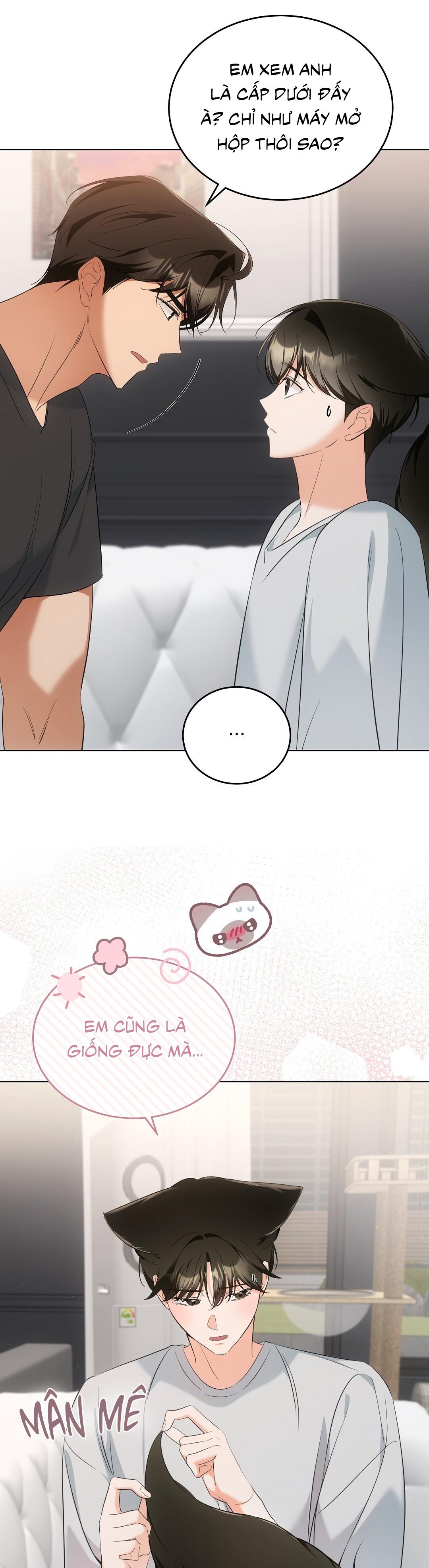 LIỆU PHÁP TRỊ LIỆU MÈO Chapter 11 - Trang 2