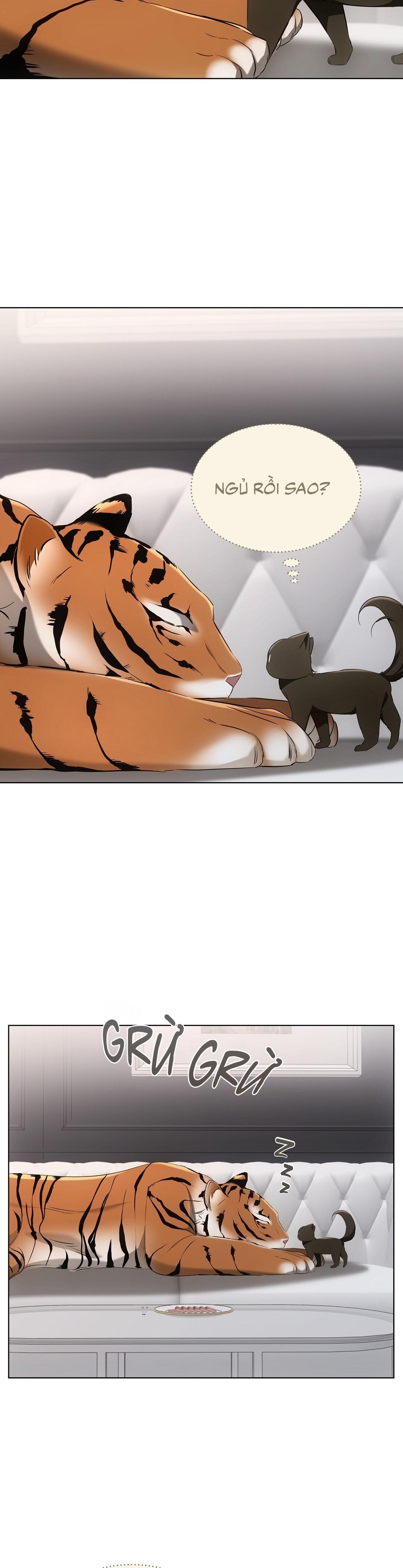 LIỆU PHÁP TRỊ LIỆU MÈO Chapter 11 - Trang 2