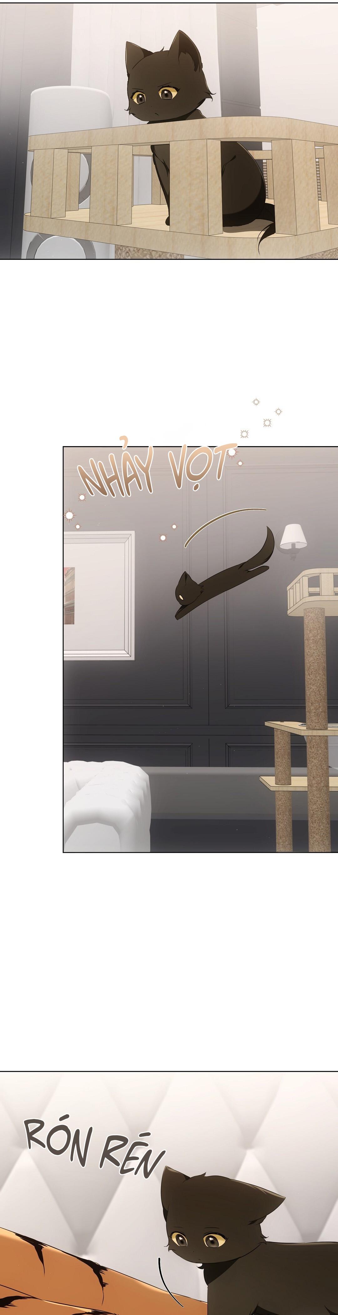 LIỆU PHÁP TRỊ LIỆU MÈO Chapter 11 - Trang 2