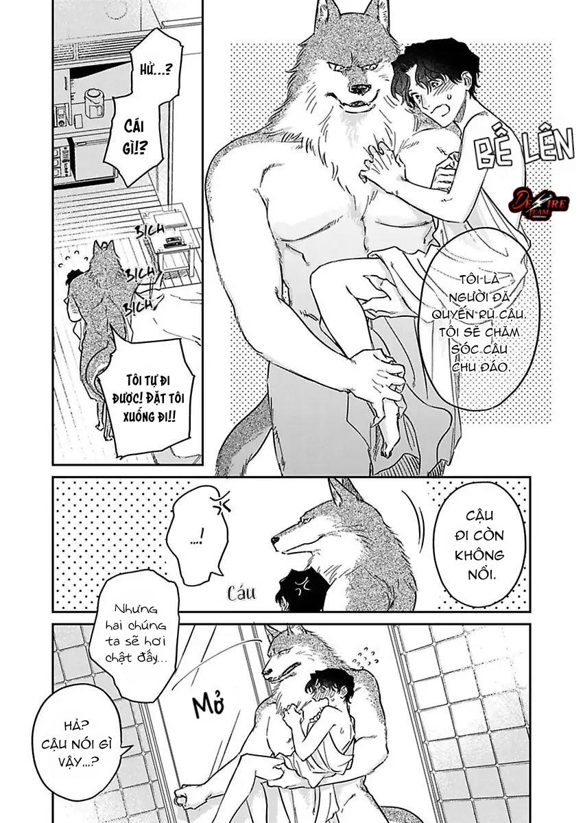 Tình Yêu Mãnh Liệt Của Ngài Sói Chapter 3 - Next 