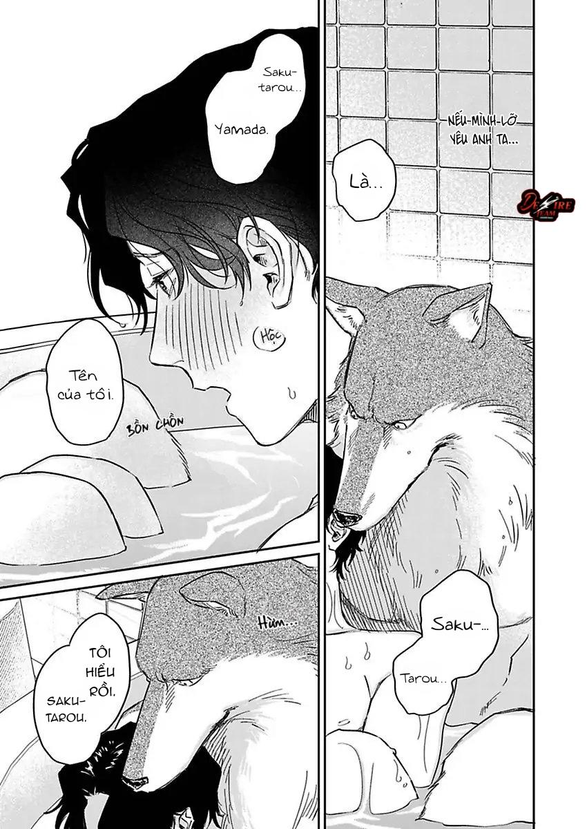 Tình Yêu Mãnh Liệt Của Ngài Sói Chapter 3 - Next 