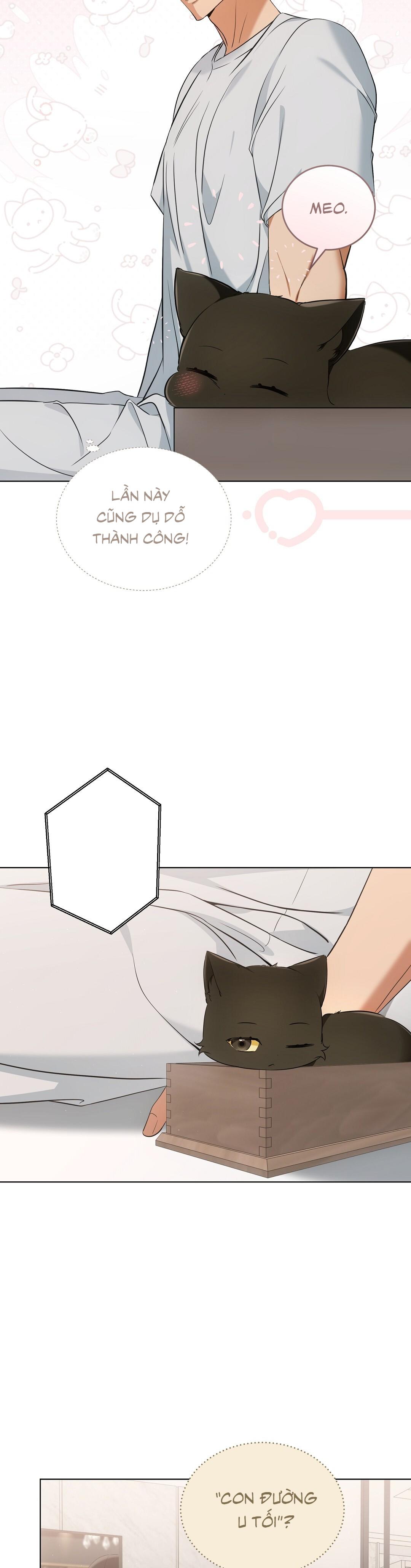 LIỆU PHÁP TRỊ LIỆU MÈO Chapter 11 - Trang 2