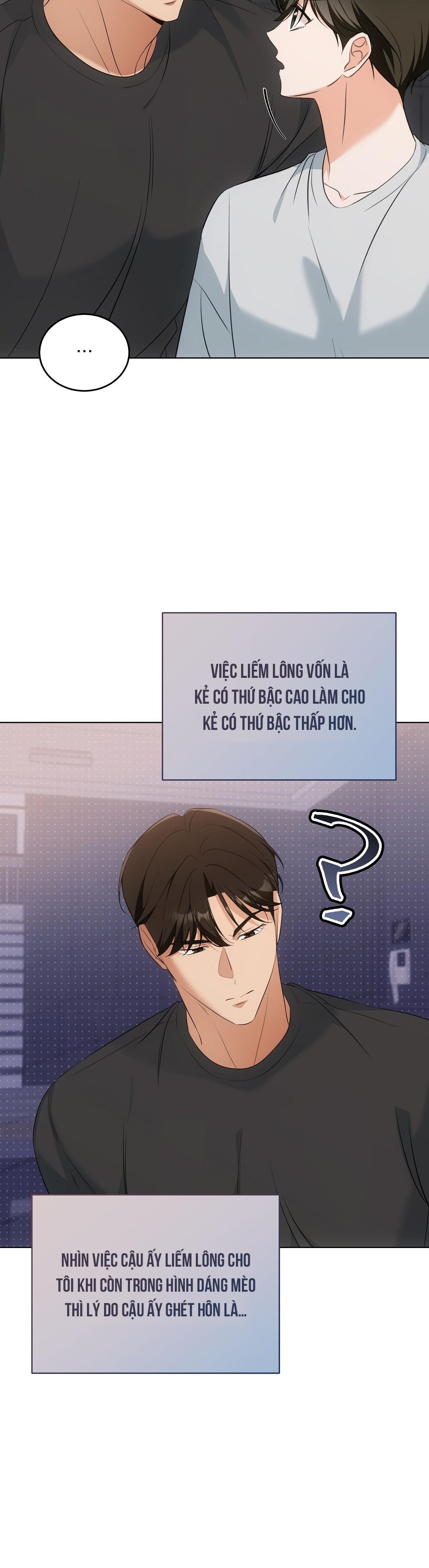 LIỆU PHÁP TRỊ LIỆU MÈO Chapter 11 - Trang 2