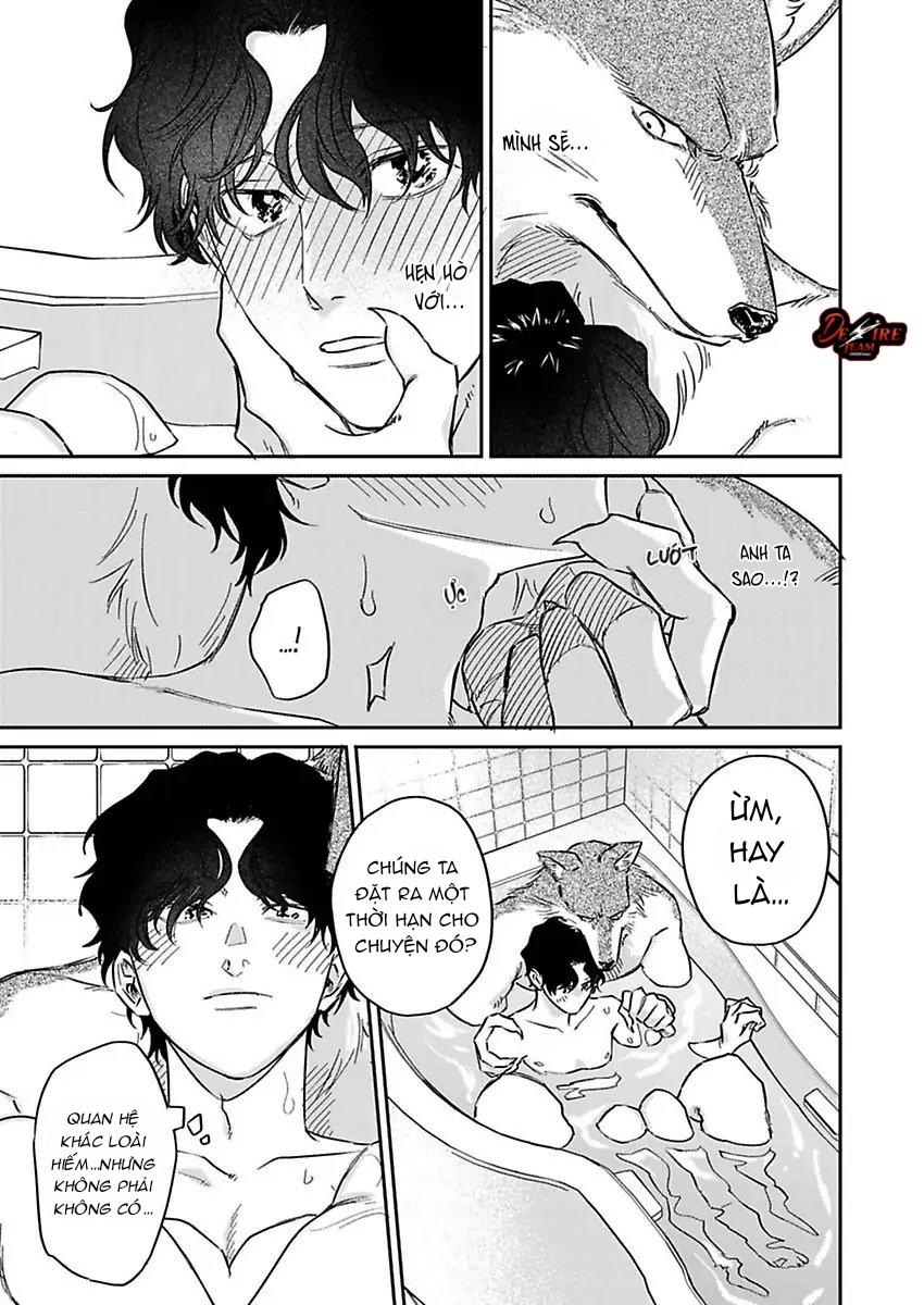 Tình Yêu Mãnh Liệt Của Ngài Sói Chapter 3 - Next 