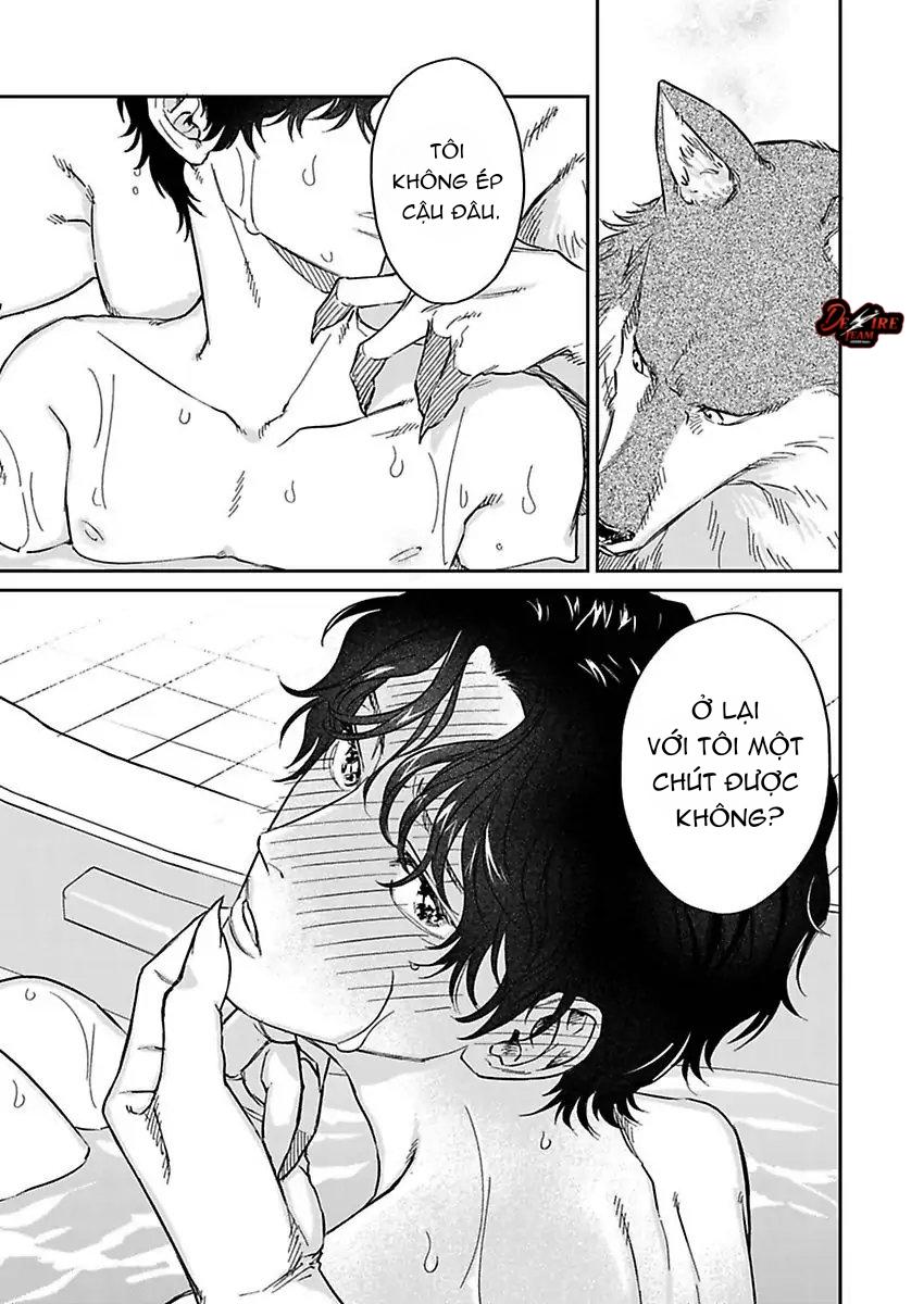 Tình Yêu Mãnh Liệt Của Ngài Sói Chapter 3 - Next 