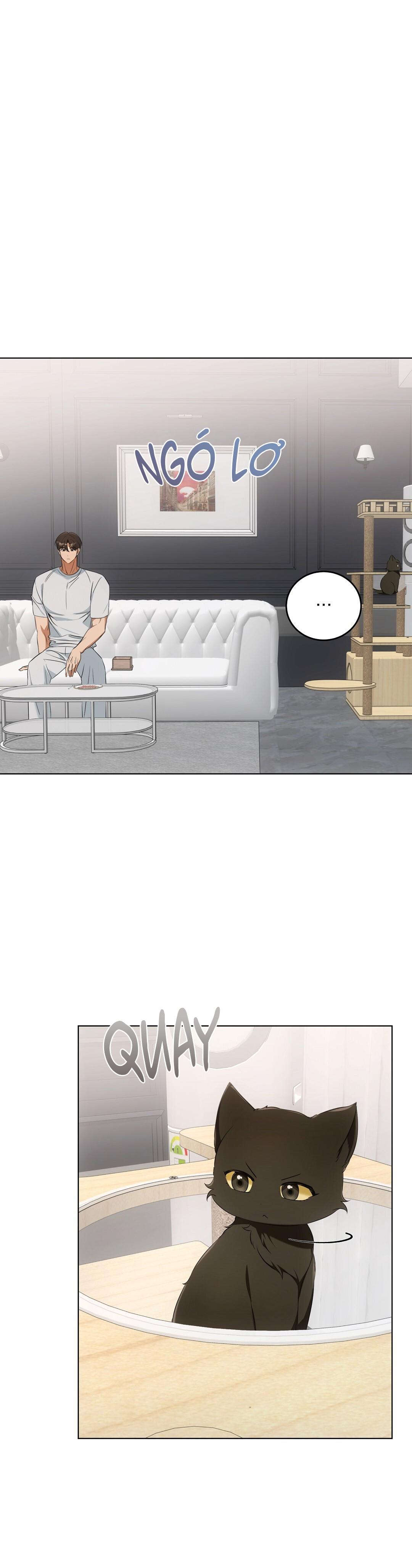 LIỆU PHÁP TRỊ LIỆU MÈO Chapter 11 - Trang 2