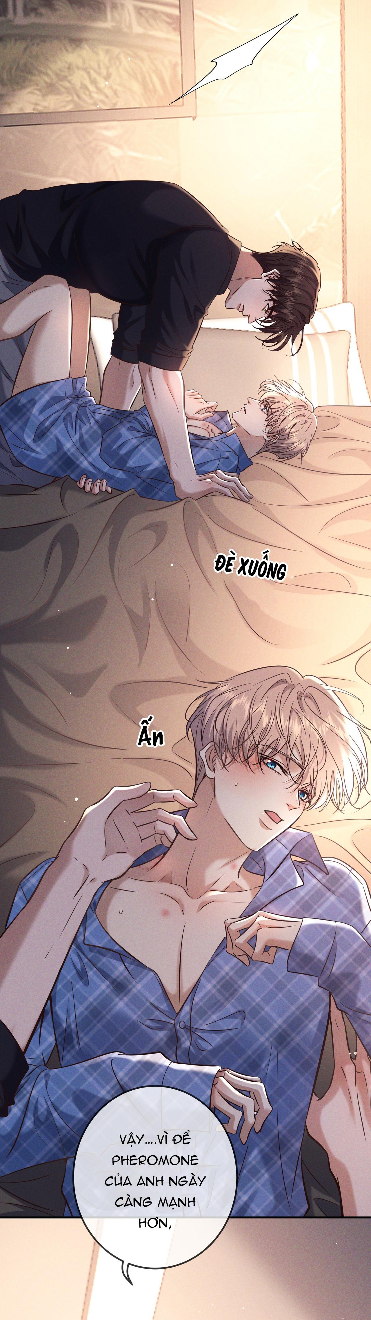 Cạn Tình Chapter 81 - Trang 2