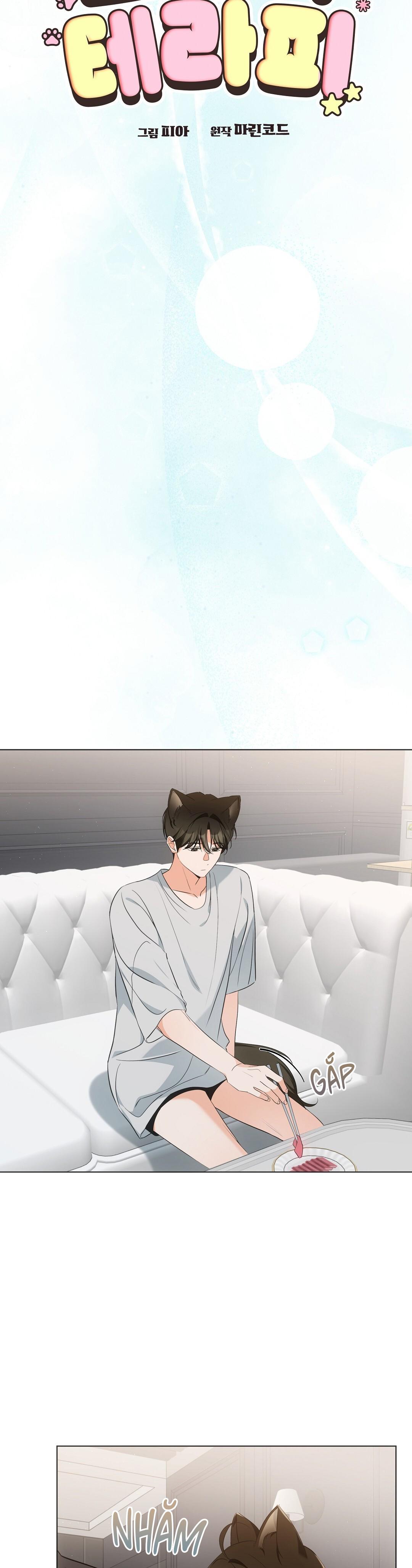 LIỆU PHÁP TRỊ LIỆU MÈO Chapter 11 - Trang 2