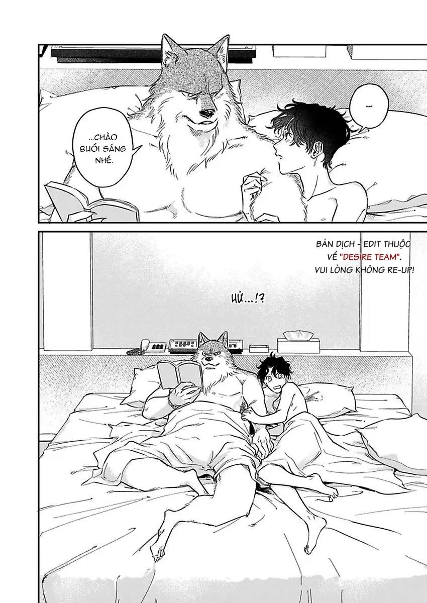 Tình Yêu Mãnh Liệt Của Ngài Sói Chapter 3 - Next 