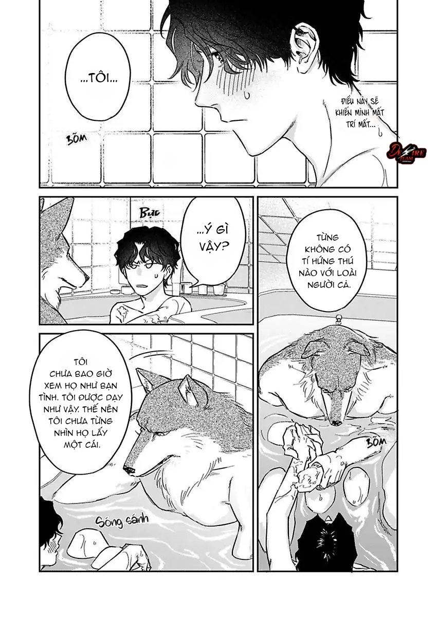 Tình Yêu Mãnh Liệt Của Ngài Sói Chapter 3 - Next 