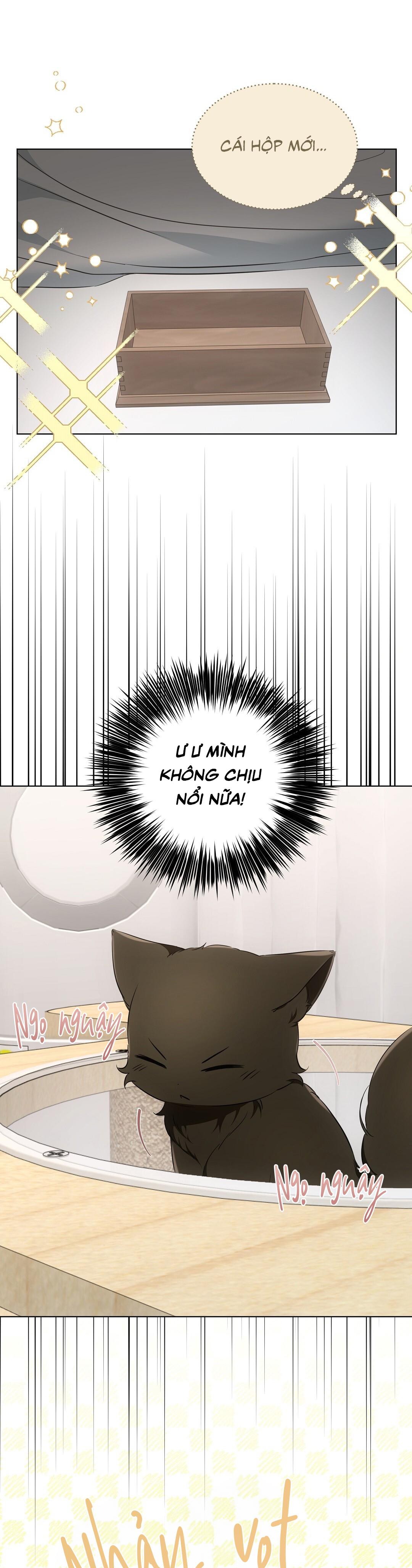 LIỆU PHÁP TRỊ LIỆU MÈO Chapter 11 - Trang 2