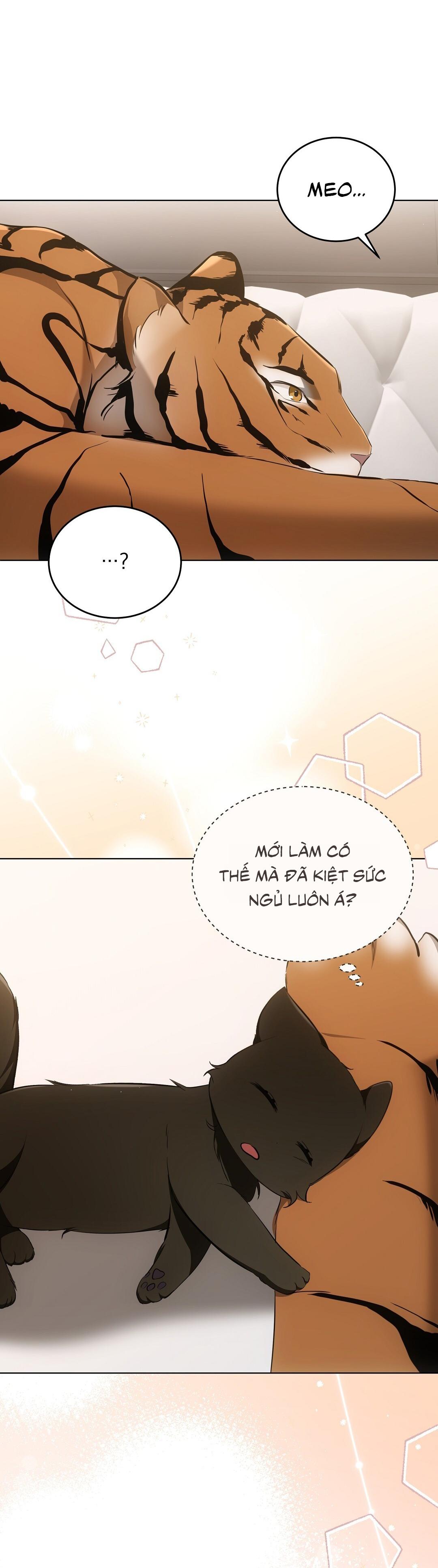 LIỆU PHÁP TRỊ LIỆU MÈO Chapter 11 - Trang 2