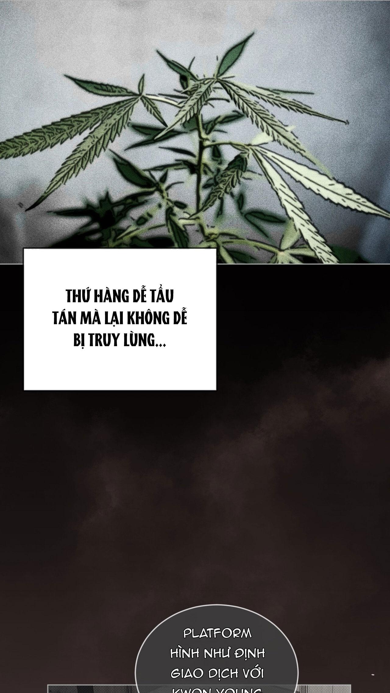 NGUỒN GỐC TIẾN HÓA Chapter 27 - Next 