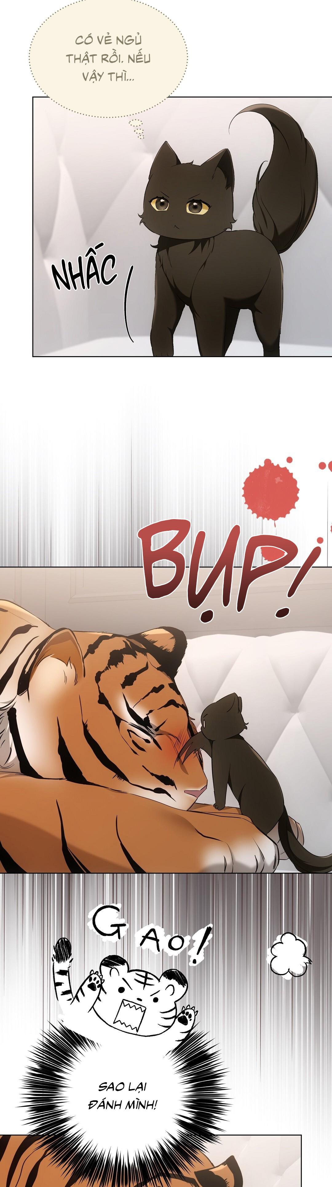 LIỆU PHÁP TRỊ LIỆU MÈO Chapter 11 - Trang 2