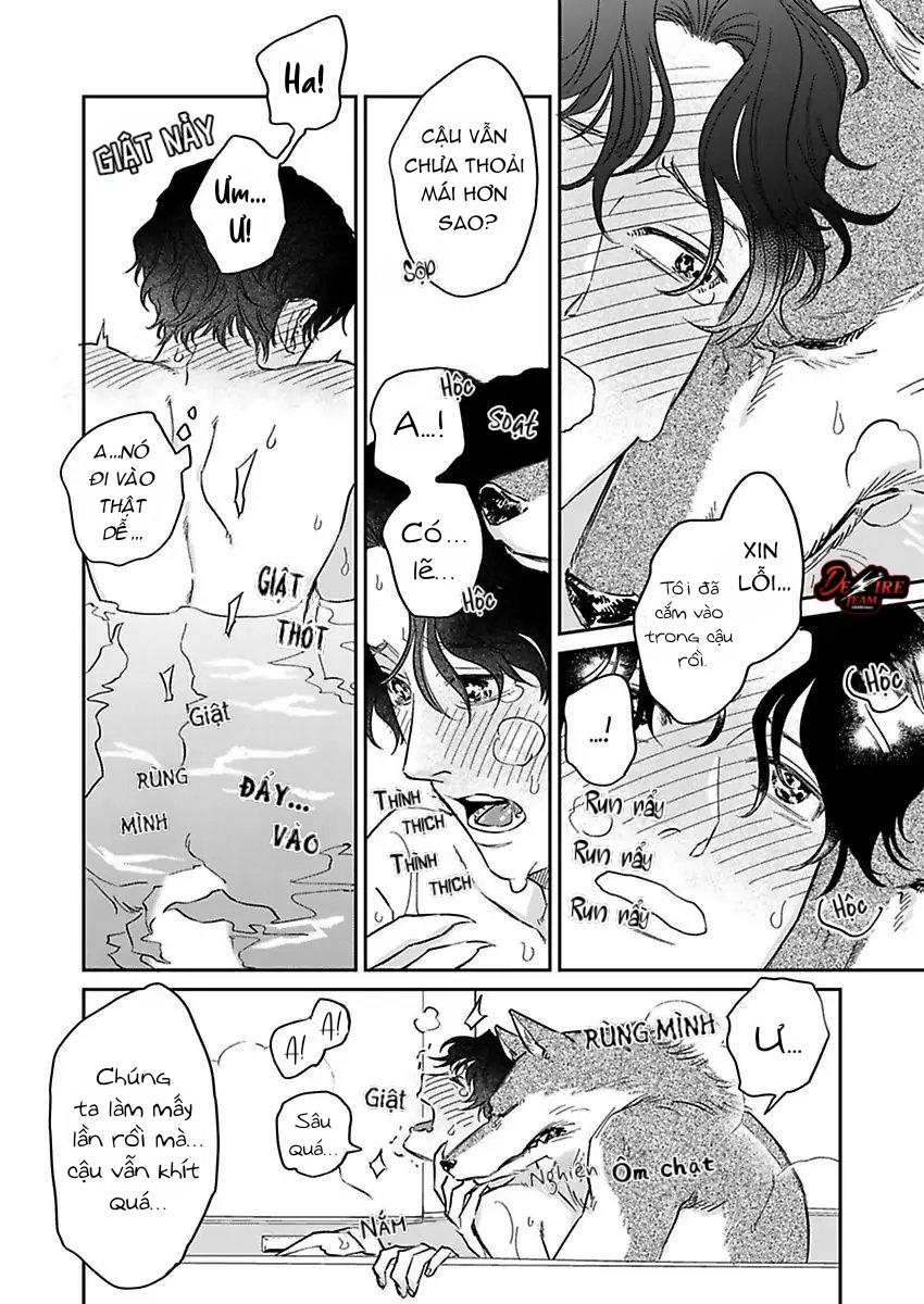 Tình Yêu Mãnh Liệt Của Ngài Sói Chapter 3 - Next 