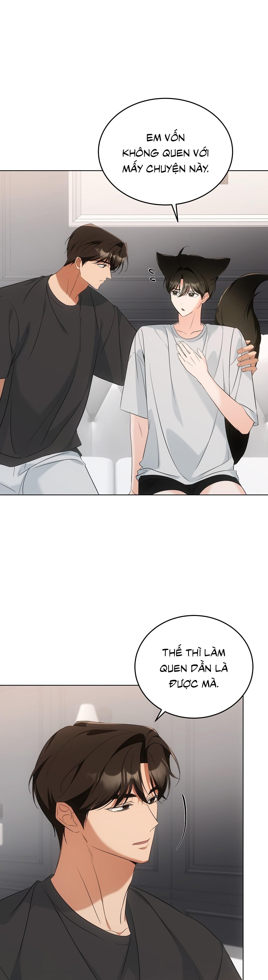 LIỆU PHÁP TRỊ LIỆU MÈO Chapter 11 - Trang 2