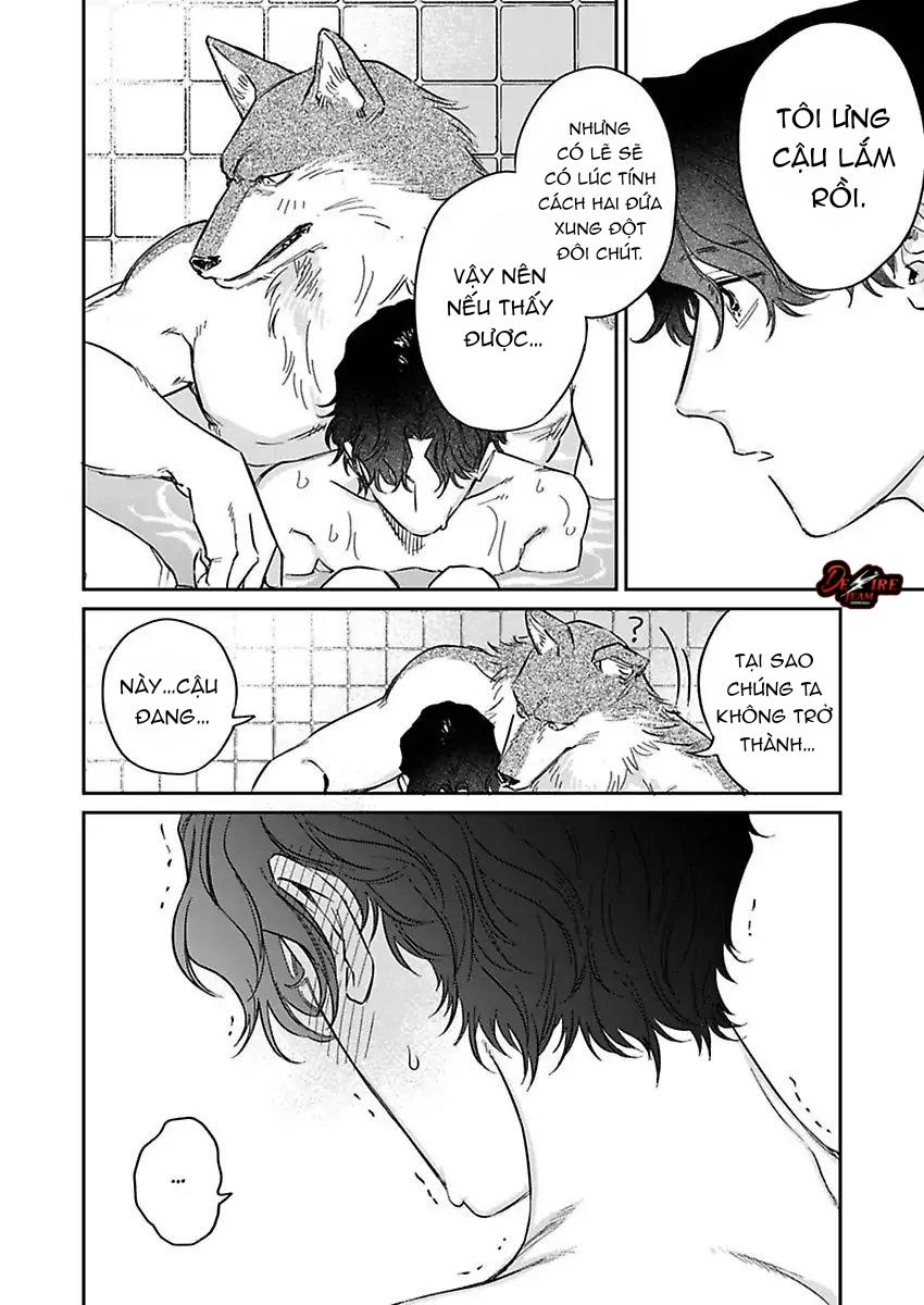 Tình Yêu Mãnh Liệt Của Ngài Sói Chapter 3 - Next 