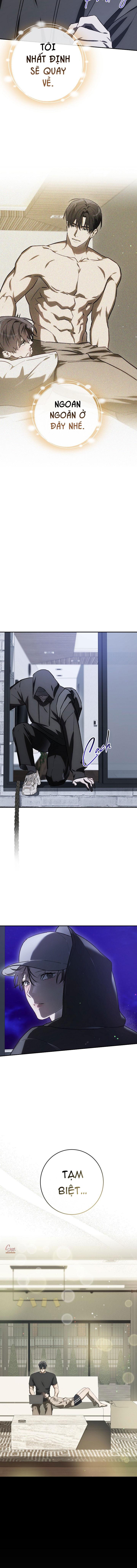 BẢO VẬT Chapter 41 - Trang 2