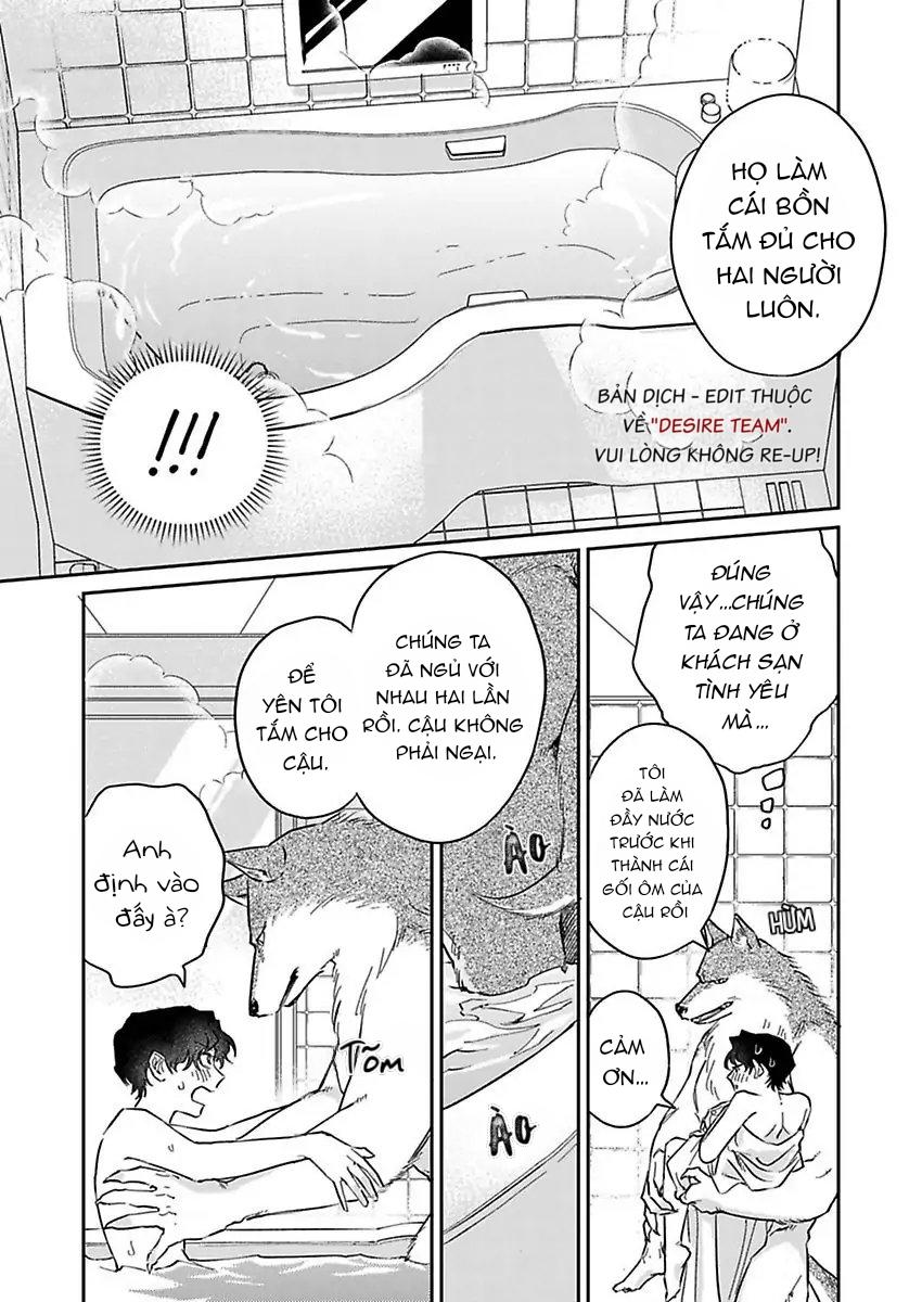 Tình Yêu Mãnh Liệt Của Ngài Sói Chapter 3 - Next 