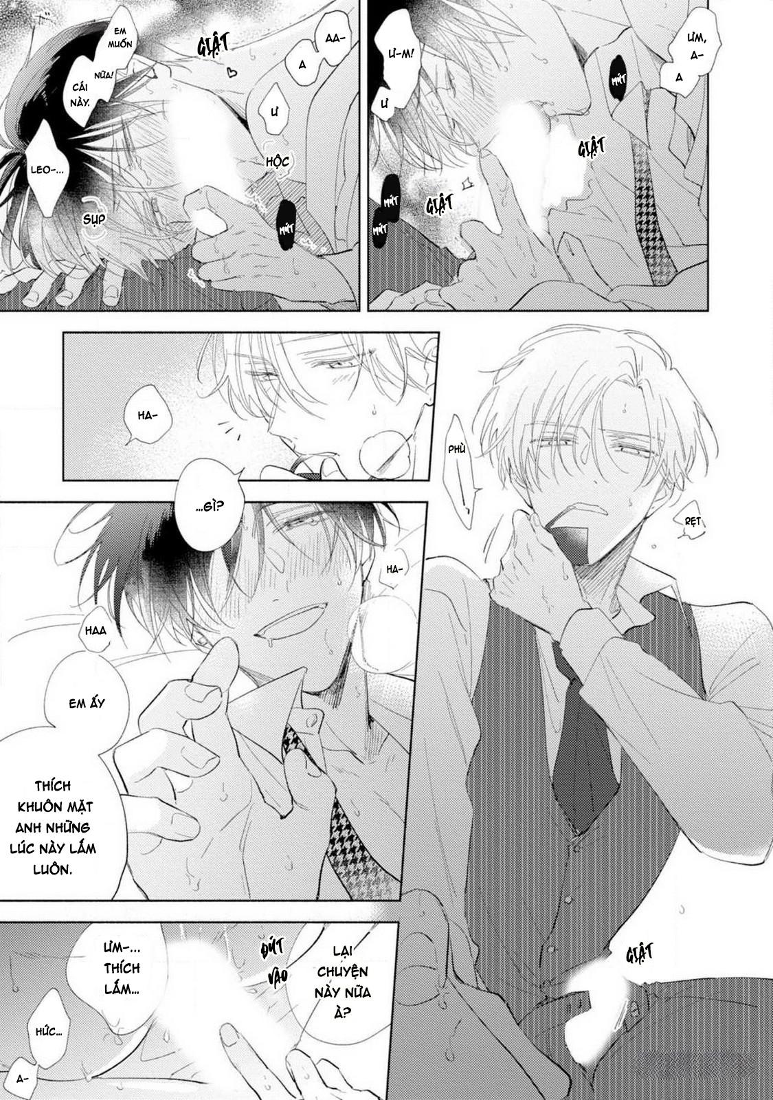 Bạn Đời Của Tôi Là Một Omega Thuần Chapter 5 H - Next Chapter 6 H+ - End