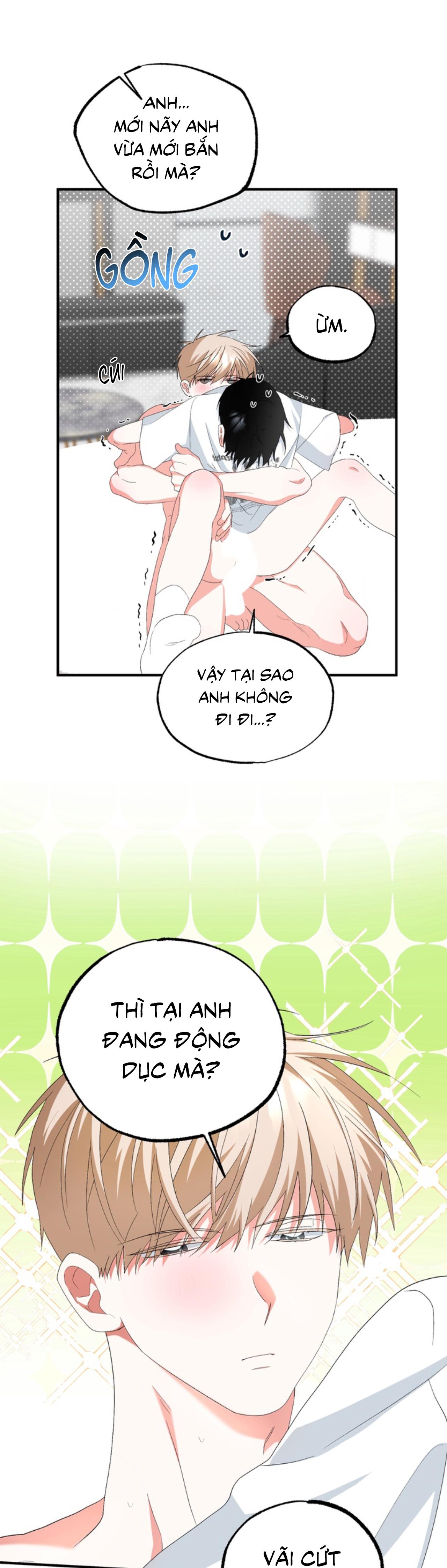 XIN HÃY YÊU THƯƠNG DÙ TÔI LÀ CHUỘT Chapter 12 H+ - Trang 2