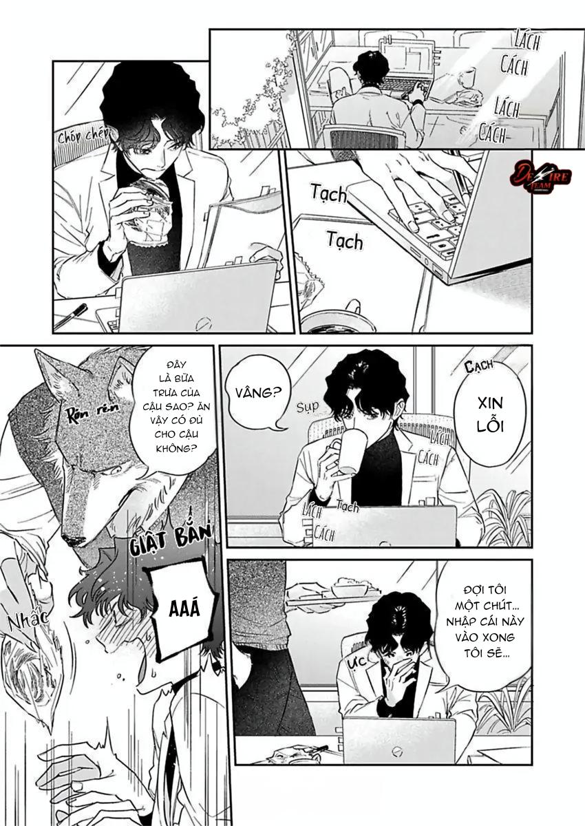 Tình Yêu Mãnh Liệt Của Ngài Sói Chapter 4 - Trang 2
