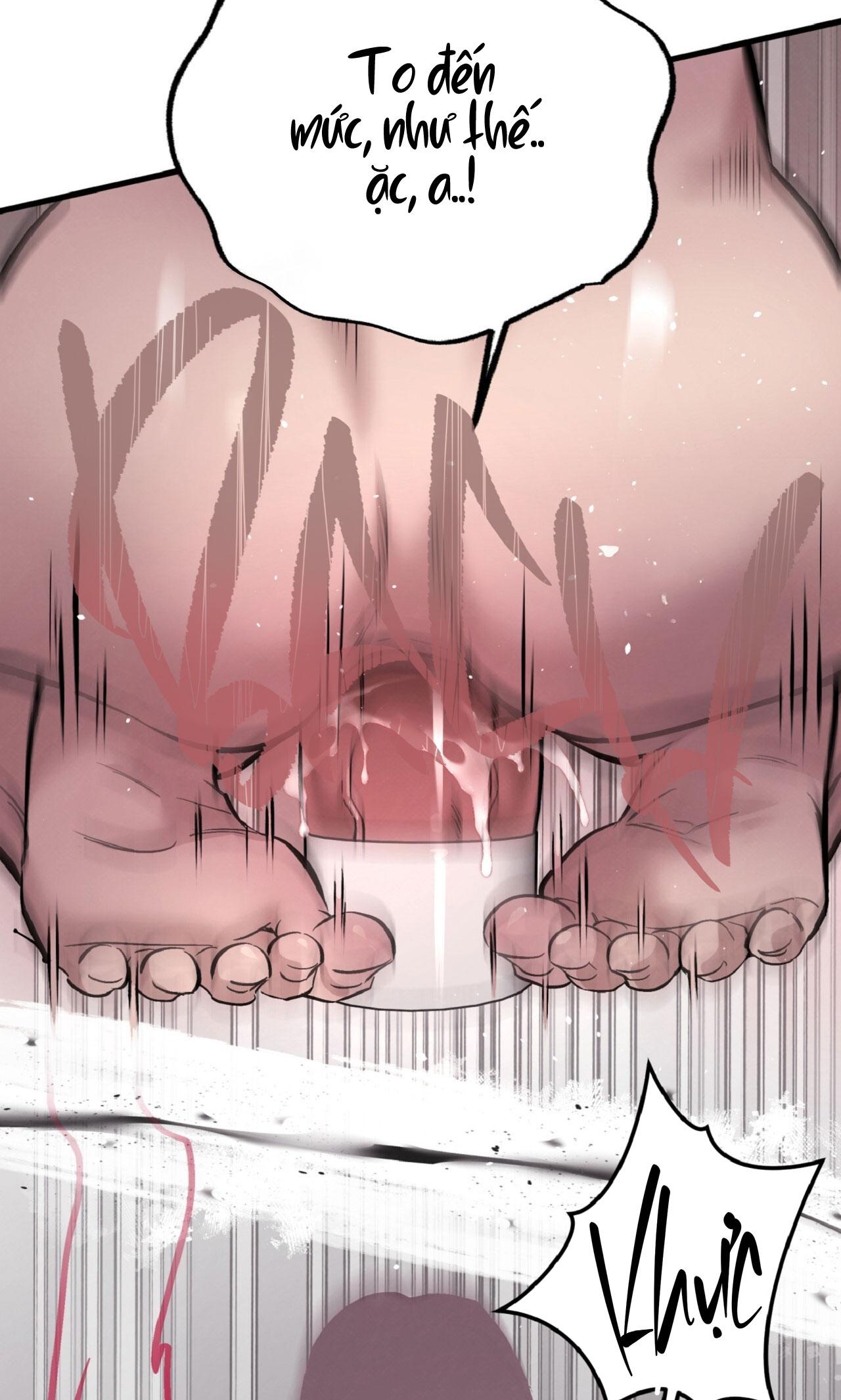 HONEY BEAR Chapter 79 - Trang 2