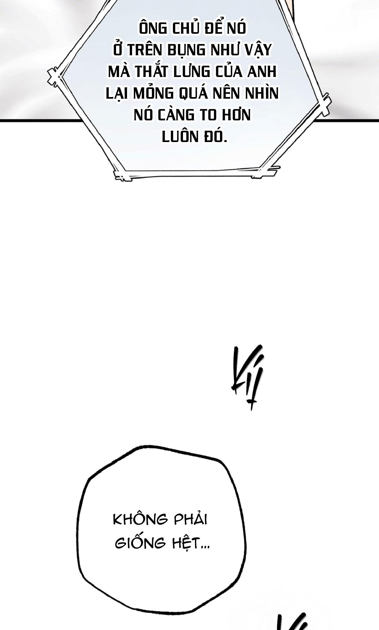 HONEY BEAR Chapter 79 - Trang 2