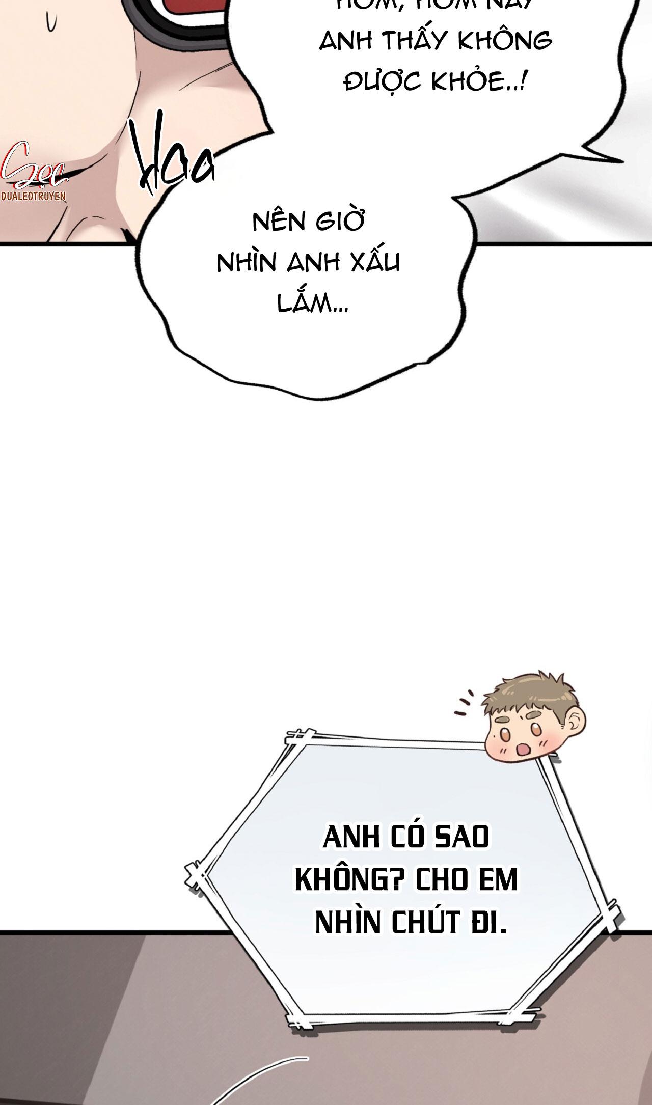 HONEY BEAR Chapter 79 - Trang 2