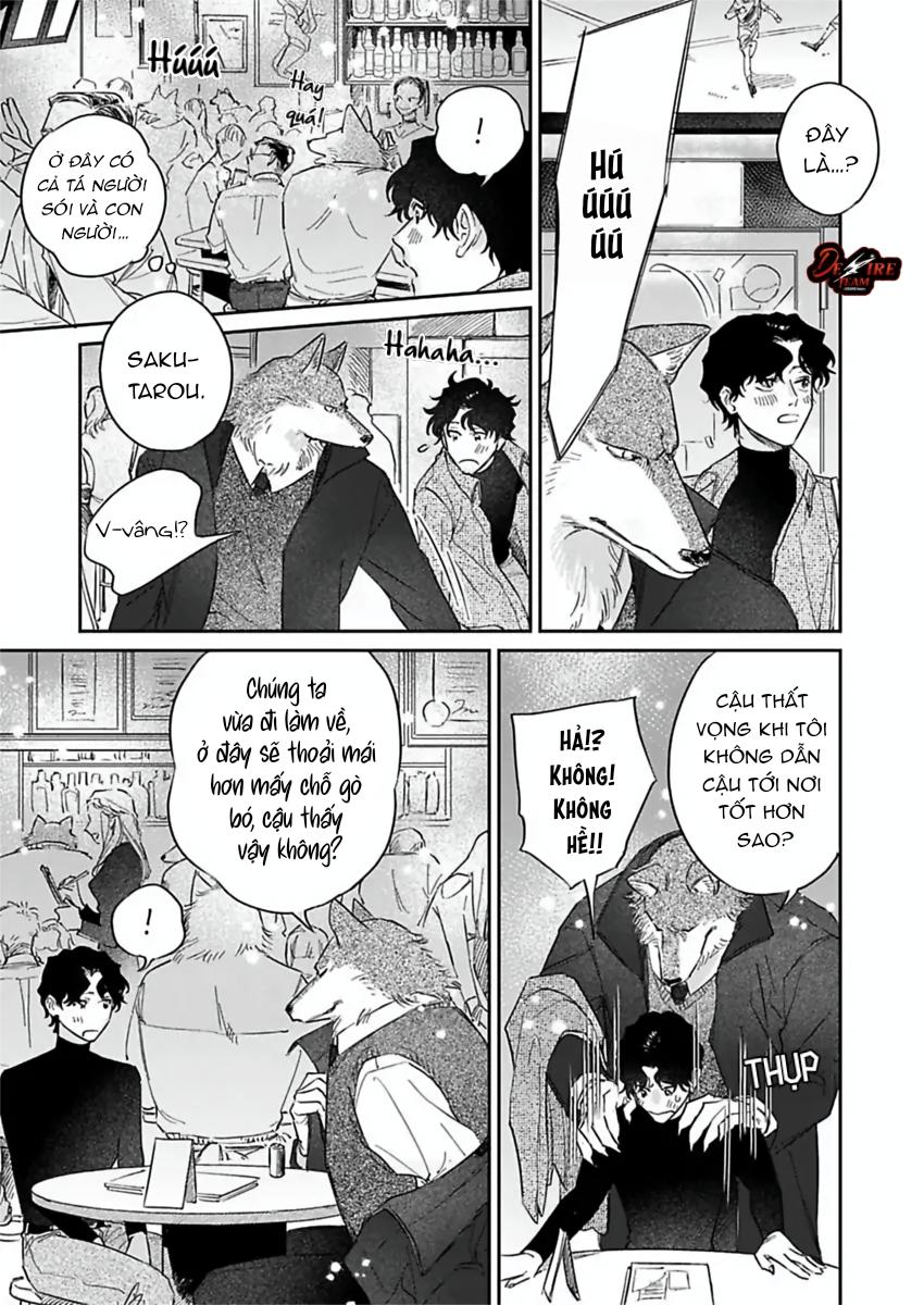 Tình Yêu Mãnh Liệt Của Ngài Sói Chapter 4 - Trang 2