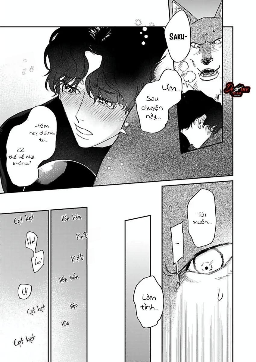Tình Yêu Mãnh Liệt Của Ngài Sói Chapter 4 - Trang 2