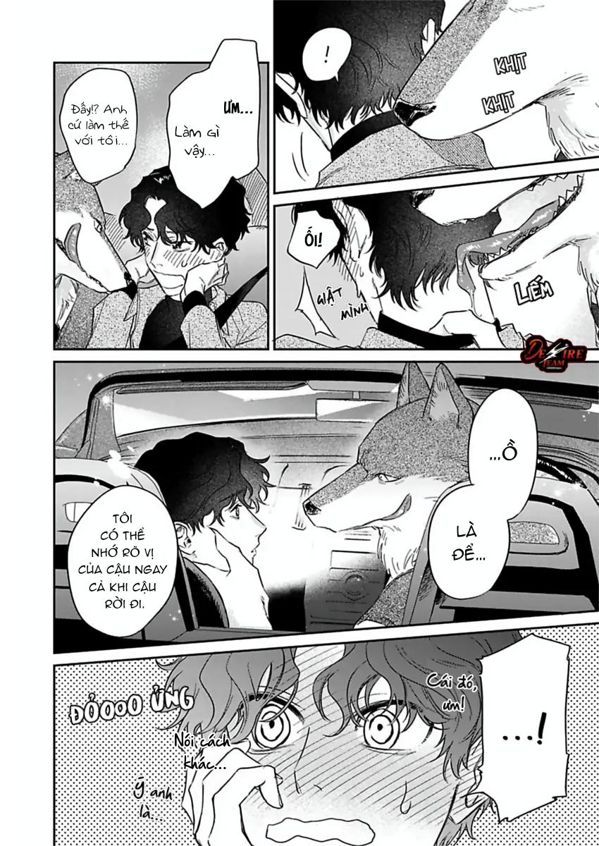 Tình Yêu Mãnh Liệt Của Ngài Sói Chapter 4 - Trang 2