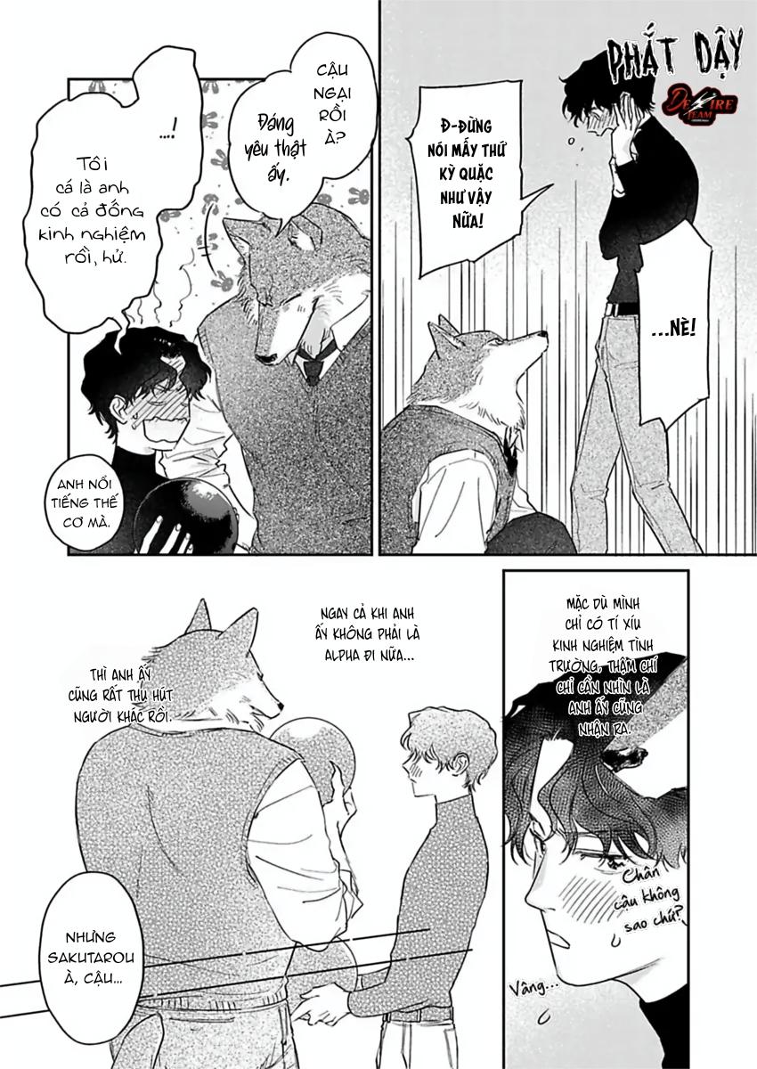 Tình Yêu Mãnh Liệt Của Ngài Sói Chapter 4 - Trang 2