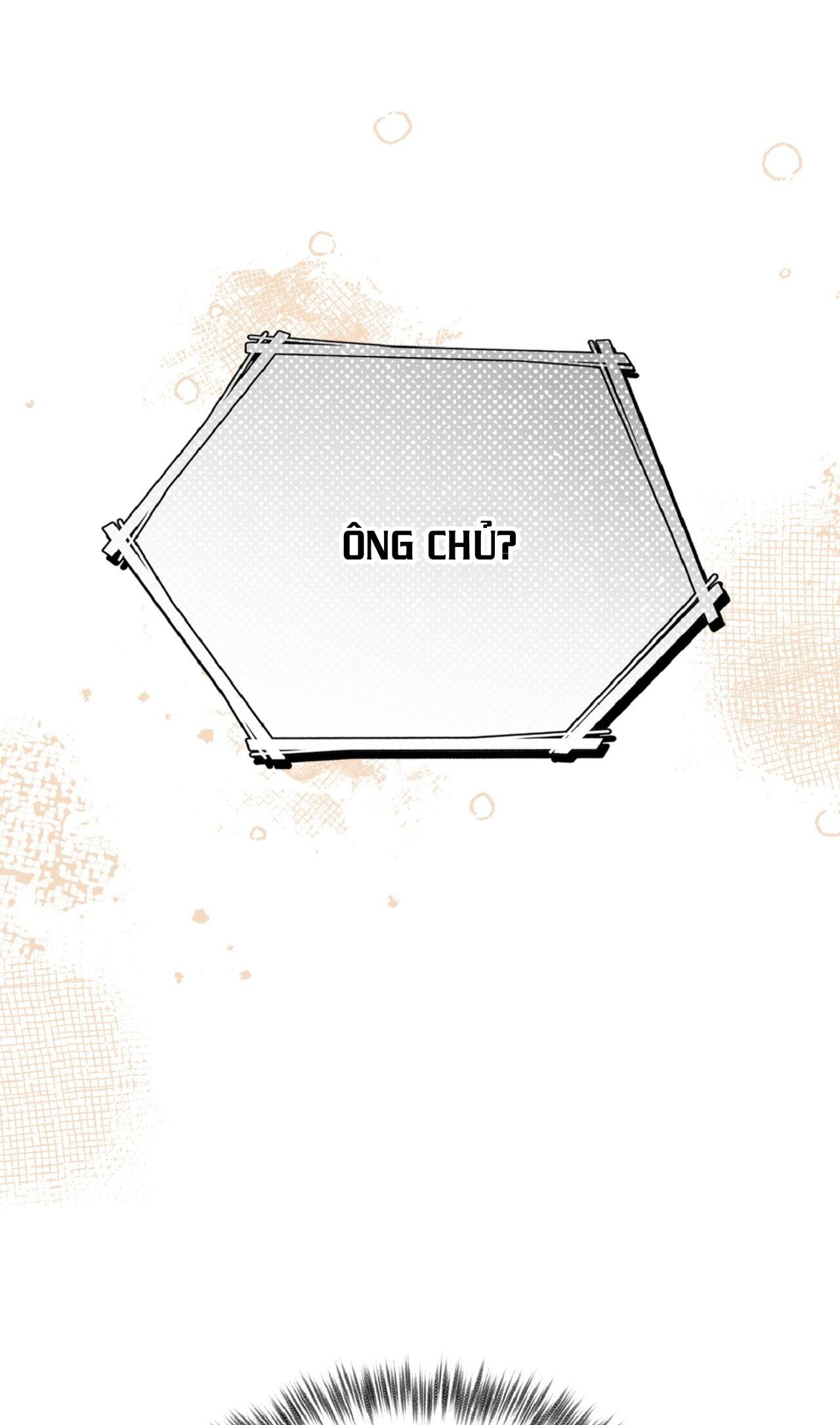 HONEY BEAR Chapter 79 - Trang 2