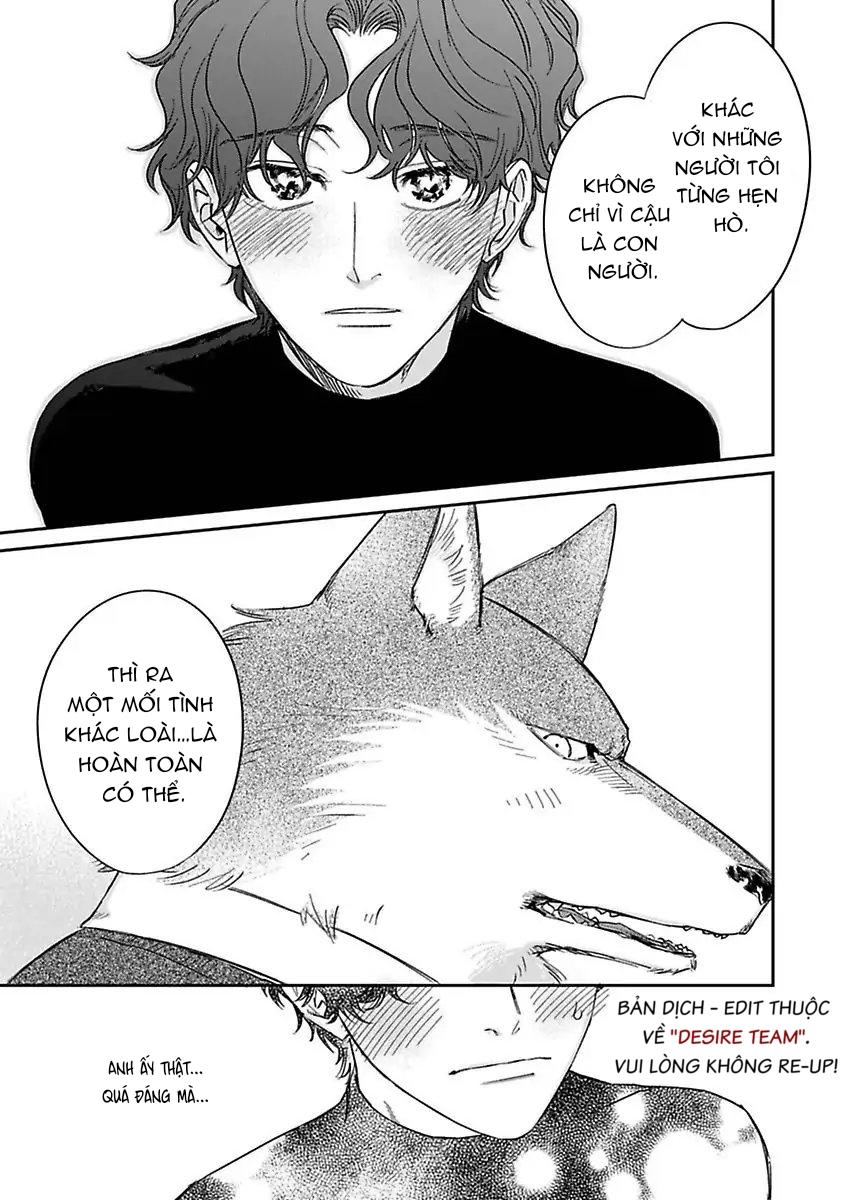 Tình Yêu Mãnh Liệt Của Ngài Sói Chapter 4 - Trang 2