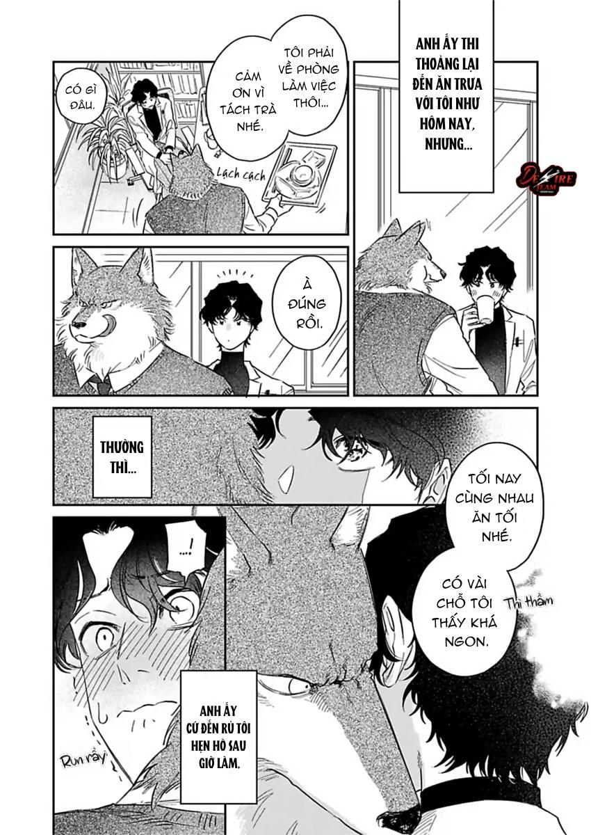 Tình Yêu Mãnh Liệt Của Ngài Sói Chapter 4 - Trang 2