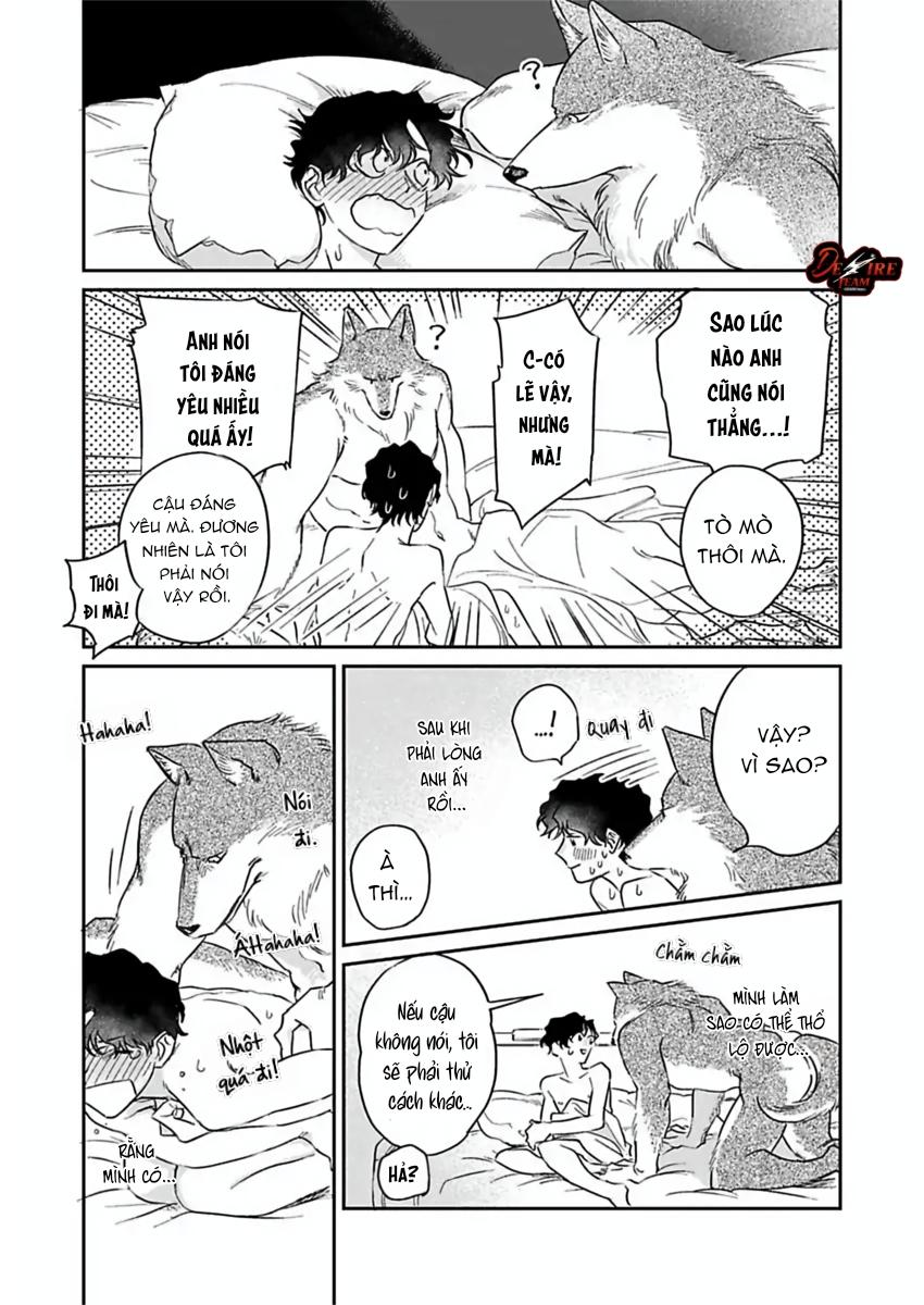 Tình Yêu Mãnh Liệt Của Ngài Sói Chapter 4 - Trang 2