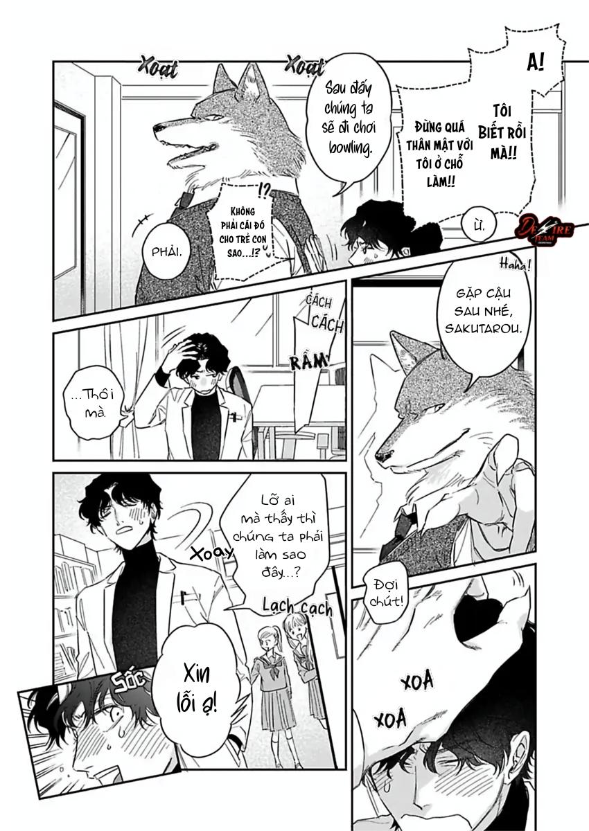 Tình Yêu Mãnh Liệt Của Ngài Sói Chapter 4 - Trang 2