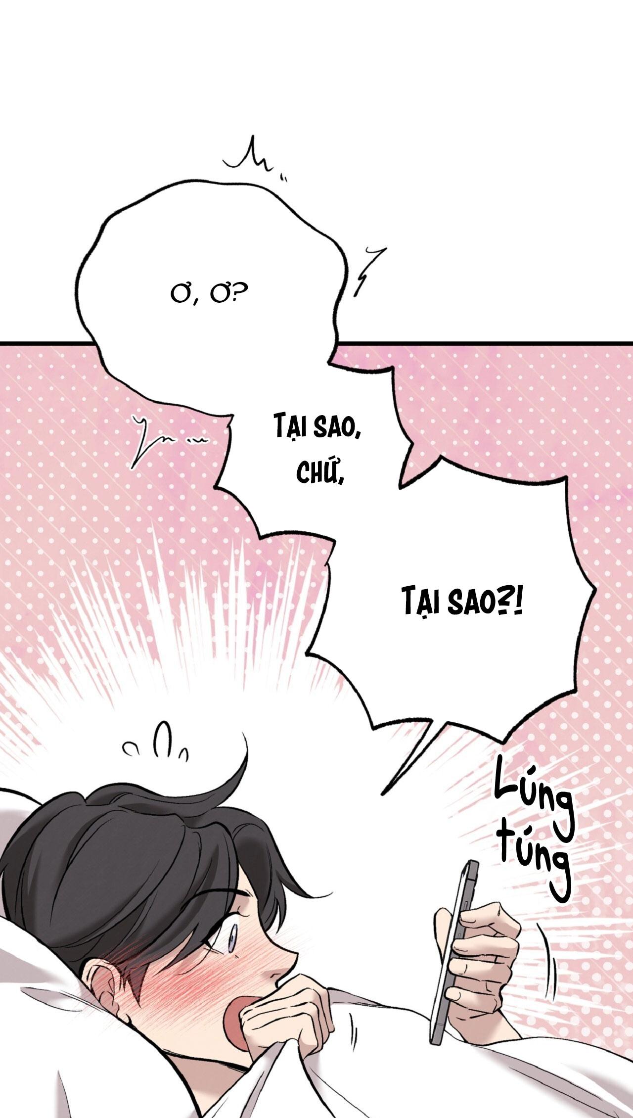 HONEY BEAR Chapter 79 - Trang 2