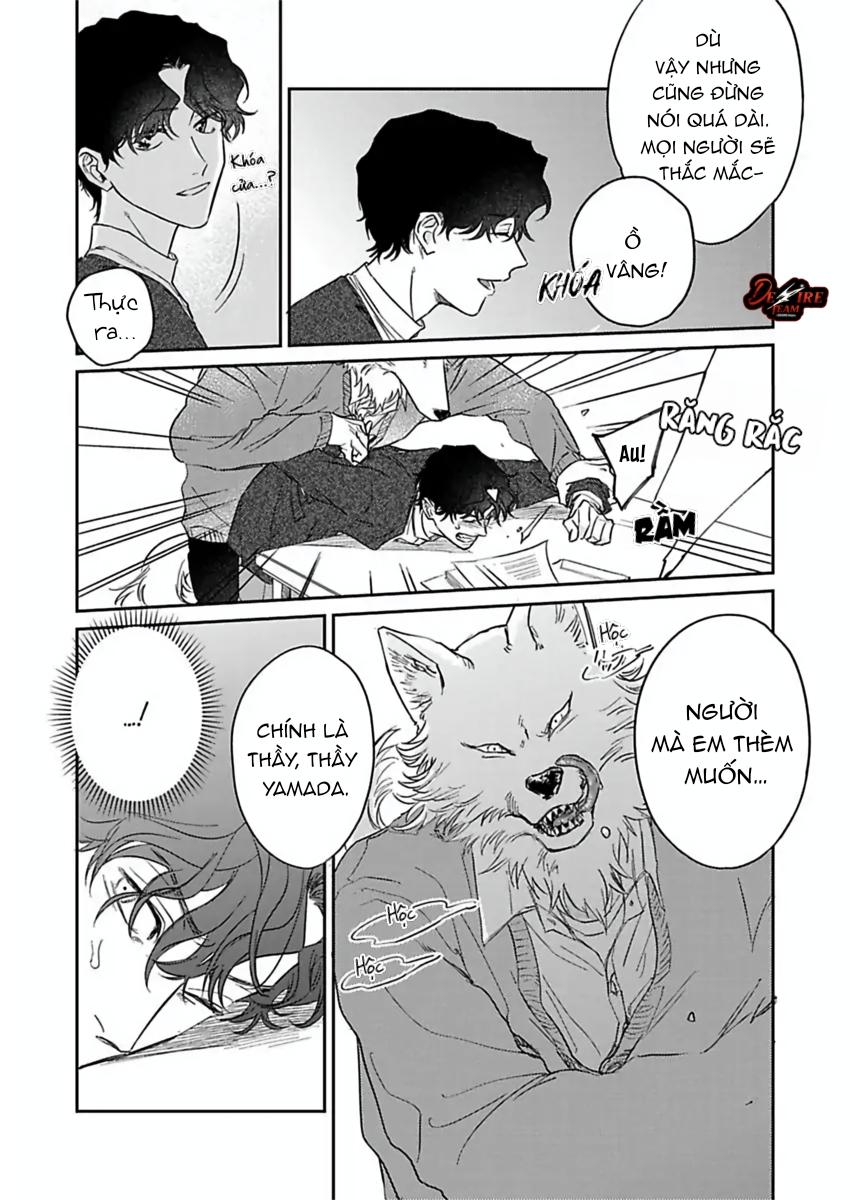 Tình Yêu Mãnh Liệt Của Ngài Sói Chapter 5 - Trang 2