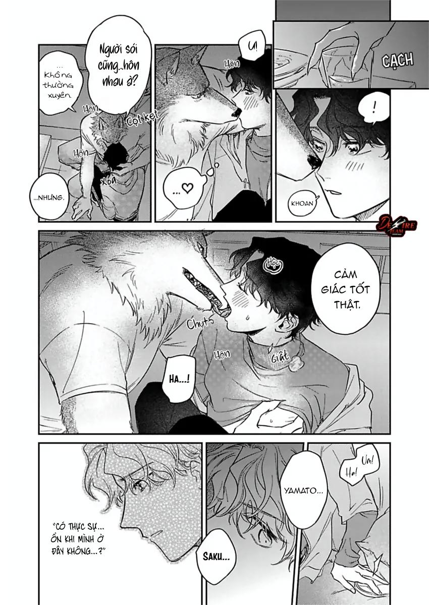 Tình Yêu Mãnh Liệt Của Ngài Sói Chapter 5 - Trang 2