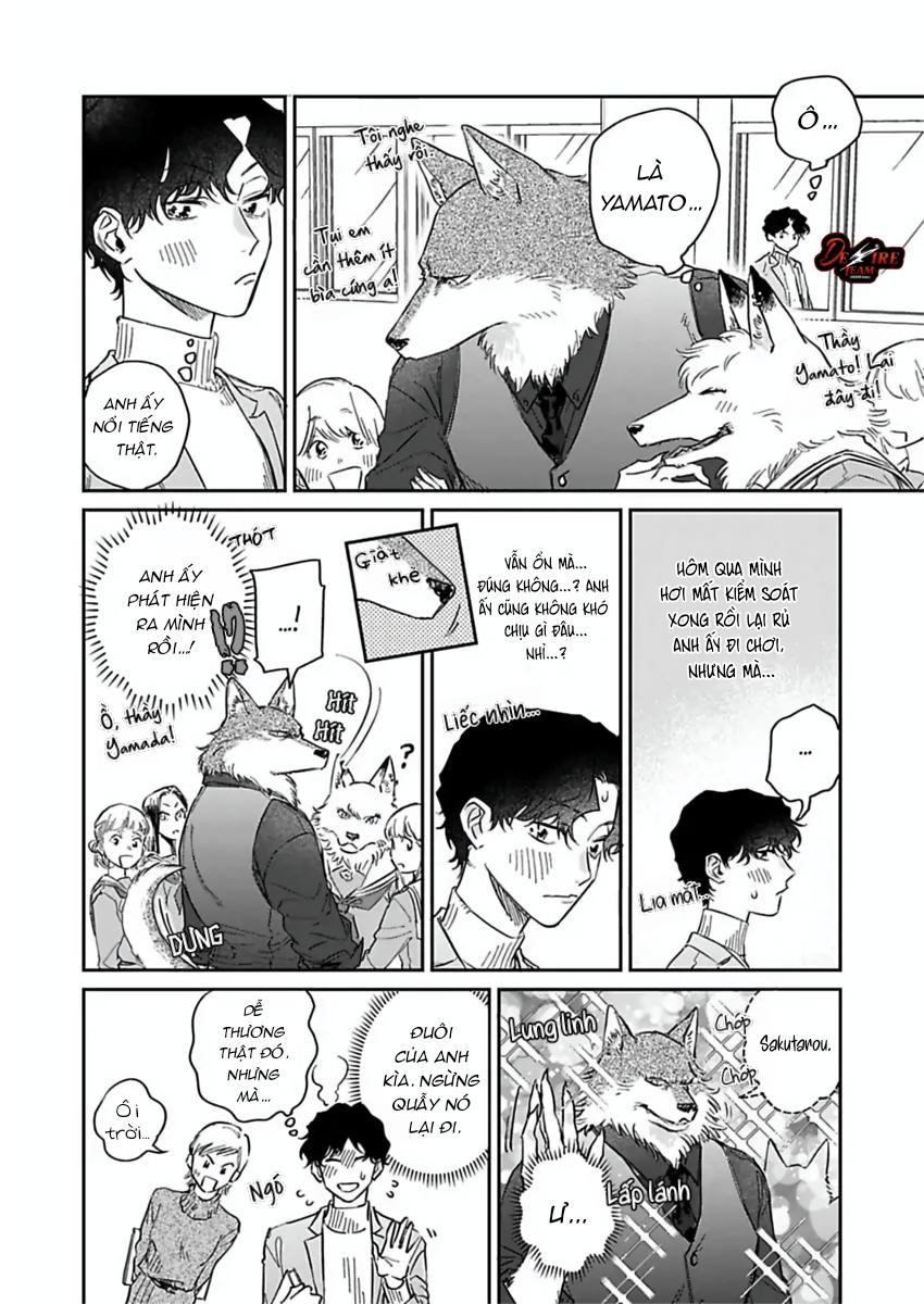 Tình Yêu Mãnh Liệt Của Ngài Sói Chapter 5 - Trang 2