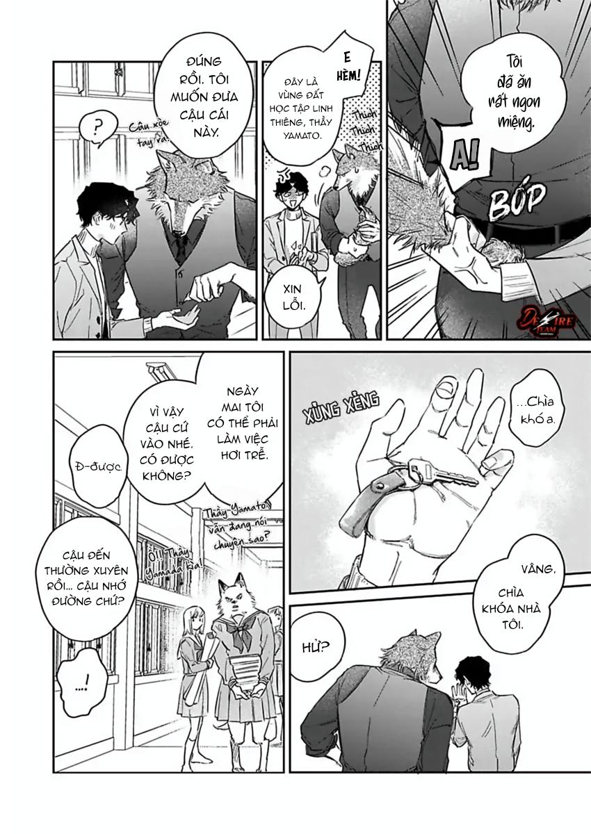 Tình Yêu Mãnh Liệt Của Ngài Sói Chapter 5 - Trang 2