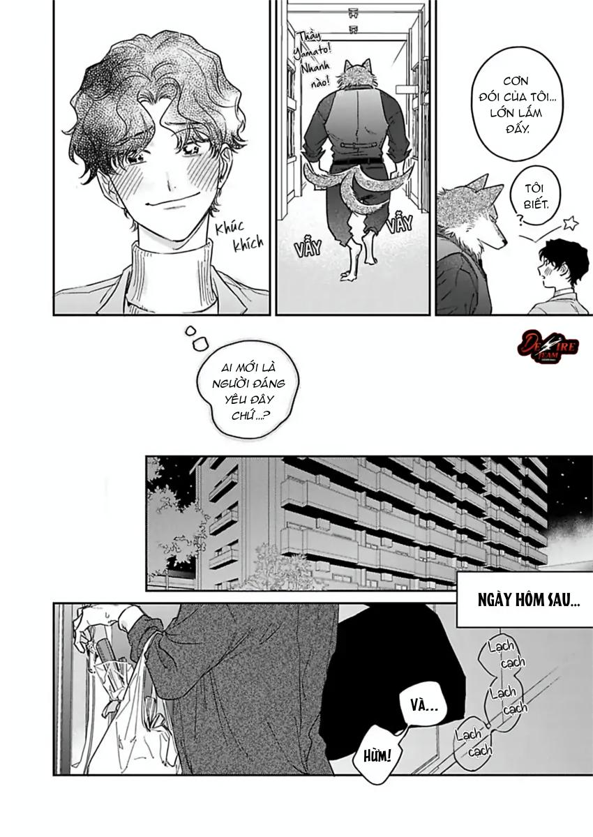 Tình Yêu Mãnh Liệt Của Ngài Sói Chapter 5 - Trang 2