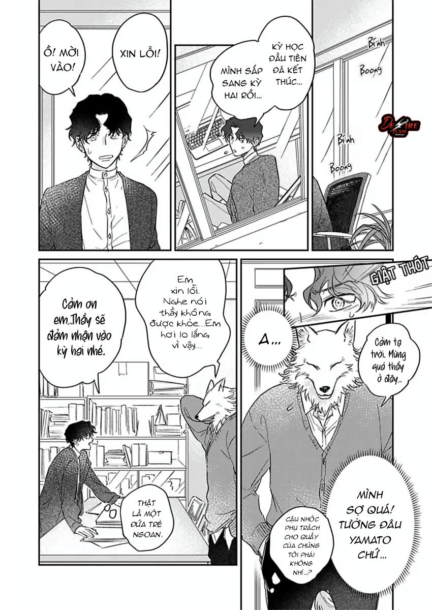 Tình Yêu Mãnh Liệt Của Ngài Sói Chapter 5 - Trang 2