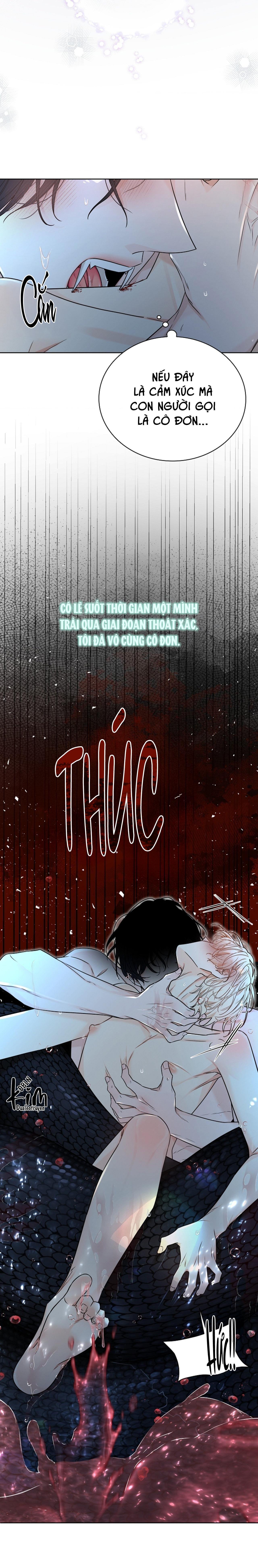 HANG RẮN Chapter 13 - Next 